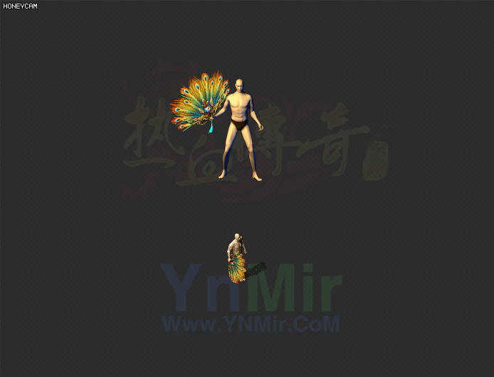 WQ2608392-自制雀羽扇-1