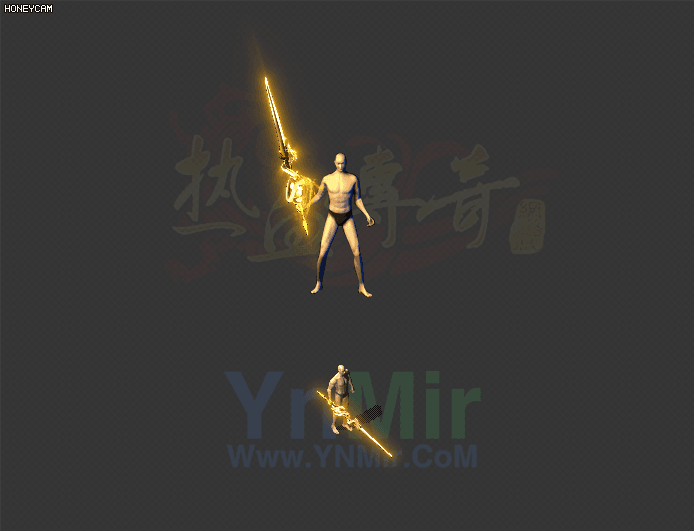 WQ2608357-金龙刺-1