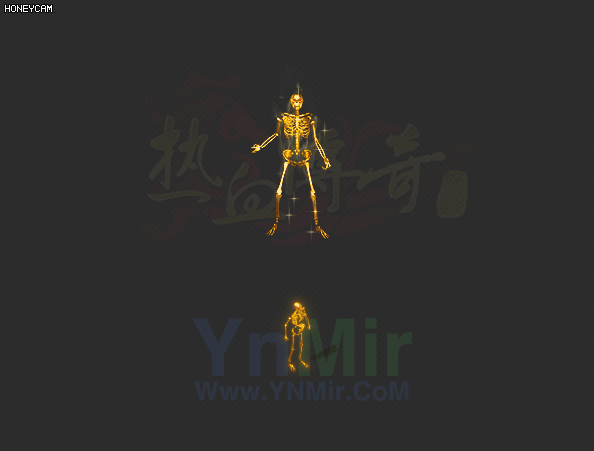 YF2608166-黄金骷髅衣服-1