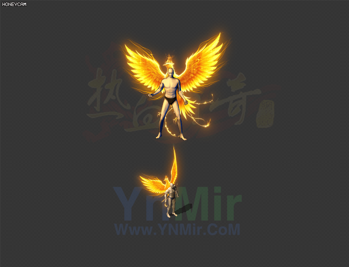 CB2608025-朱雀翅膀-1
